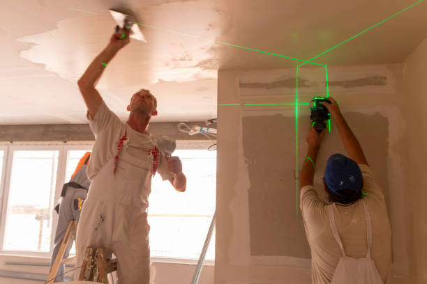 Best Ceiling Drywall Installation  in Nashvle, IL