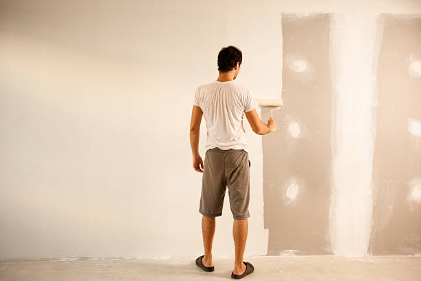 Best Interior Painting  in Nashvle, IL