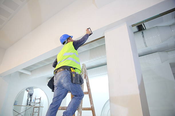 Best Drywall for New Construction  in Nashvle, IL