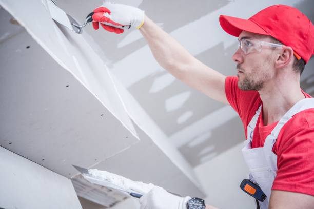 Best Drywall Installation  in Nashvle, IL